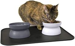 Kitty City Raised Cat Food Bowl Col