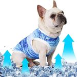 Dog Cooling Vest, Breathable Mesh Dog Clothes Shirt for Summer, Ice-Cooling Jackets for Puppies Dogs Indoor Outdoor Activities (XXL)