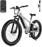 FD FREEDARE Saiga Electric Bike Adu