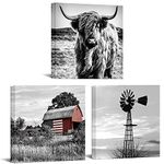 Black and White Canvas Set of 3 Wall Art Prints Farmhouse Barn American Flag Highland Cow and Windmill Pictures Rustic Farm Countryside Framed Artwork Ready To Hang Each Panel 20x20 (Large)