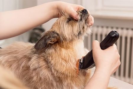 WAHL Colour Pro Pet Clipper – Black Grooming Tool