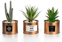 Opps Mini Artificial Plants Plastic