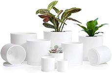 D'vine Dev 10 Pack Plastic Plant Pots for Plants, 6.5/6/5.5/5/4.5/4/3.5/3/2.5/2 Inch Indoor Planters Cylindrical Succulent Pot with Drainage Hole and Saucer, White, 74-S-A