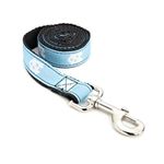 All Star Dogs NCAA North Carolina Tar Heels Dog Leash (Team Color, Large)