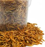 GardenersDream Dried Mealworms Mix 