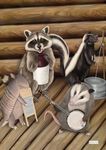 Toland Home Garden 1112727 Critter Jug-Band Funny Flag, Double Sided for Outdoor Raccoon House Yard Decoration