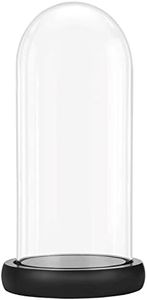 BELLE VOUS Urna Cristal con Base de Madera Negra - Cupula Cristal de 26,5 cm - Fanal Cristal Transparente para Luces de Hada, Centro de Mesa y Antigüedades