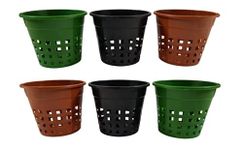 EARATAGROPOTS Agritech Plastic Orchid/Hydroponics Plant Pot, 6.5 Inch - Set of 20 Pieces (Multicolor, 20)