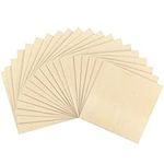 Belle Vous 20 Pack 3mm Birch Plywood Sheets - 30 x 30cm/12 x 12 Inches - Unfinished DIY Wood Panel - Wooden Planks Board - Laser Cutting Project, Painting, Modelling, Engraving, Fretwork, Pyrography