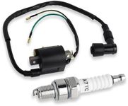 FLYPIG Ignition Coil 2 Wire Spark P