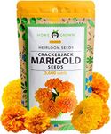 HOME GROWN Marigold Seeds Bulk Mix 