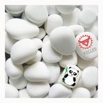 VELLES Small Stones for Garden Plant Pots & Painting Pebbles White Natural Rock for Paint Pebble Large Rocks Marble Gravel to Decorative Stone Aquarium Decor