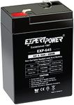 ExpertPower 6 Volt 4.5 Amp Recharge