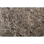 Shinoda Design Center 1 lb Preserved Natural Bag Faux Spanish Moss