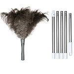 Midoneat Gray Ostrich Feather Duste