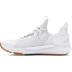 Under Armour Men's Project Rock Blood Sweat Respect 4 Sneaker, (100) White/Distant Gray/Black, 13