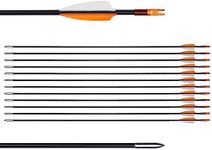 LWANO 31" Training Arrows-Archery P