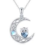 Twoowl Owl Moon Necklace 925 Sterling Silver Celtic Moon Phase Pendant Necklace Owl Jewelry Irish Gifts for Women Girls, Sterling Silver, Crystal