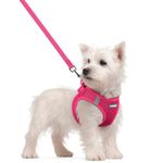 rabbitgoo Dog Harness Small Dog and Leash Set, Step-in Soft Mesh Puppy Harness with Reflective Strips, Lightweight Breathable Pet Vest for Walking Training, Hot Pink, S