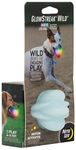 Nite Ize GlowStreak Wild LED Ball, Bouncy Motion Activated Light Up Dog Ball for High Energy Dogs, Disc-O