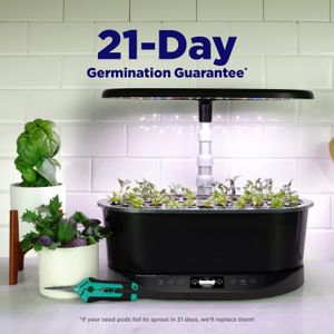 AeroGarden Bounty Basic Indoor Garden, Black – Hydroponic Grow System