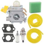 Mckin 308054003 C1U-H60 Carburetor fits Homelite Ryobi CS30 SS30 BC30 PC30 TP30 985624001 985308001 3074504 25cc 30cc String Trimmer Brushcutter with Air Filter Tune Up Kit
