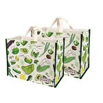 Double R Bags Big Eco Laminated Cotton Canvas Grocery Shopping Bags for Carry Milk Fruits Vegetable with Reinforced Handles Jhola Bag - Kitchen Essential (Pack of 2, Vegetable Green Print)