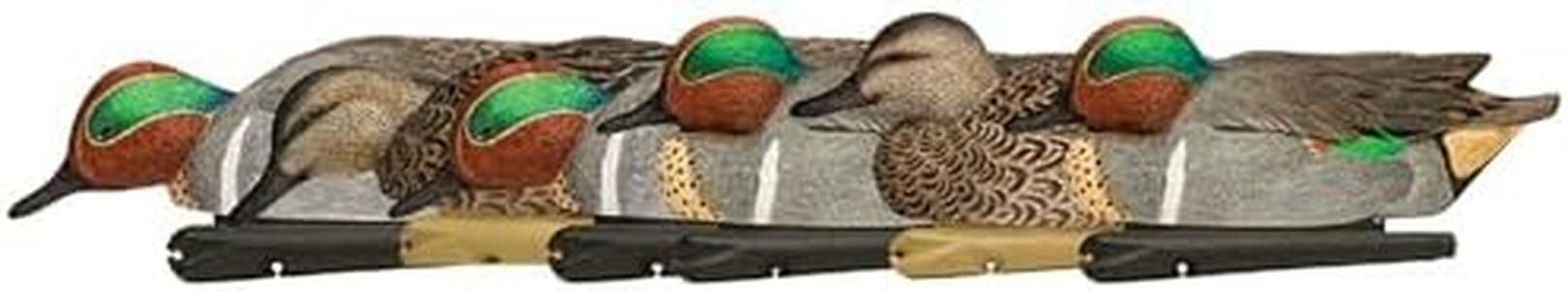 Avian X Topflight Green-Winged Teal Decoys, Realistic Floating Duck Decoys for Hunting, Weight-Forward Swim Keel, Set of 6, Multicolor