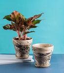 Nurturing Green® Set of 2 Dark Brown Ceramic Pot with Marble Finish for Home & Indoor Decor (Size: 6 Inch Wide*5.5 Inch High | Comes with Bottom Tray) - [Plants are not Included]