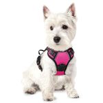 rabbitgoo Dog Harness, No-Pull Pet Harness with 2 Leash Clips, Adjustable Soft Padded Vest, Reflective No-Choke Pet Oxford Vest with Easy Control Handle for Small Dogs,Hot Pink, XS