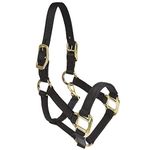 Intrepid International Nylon Miniature Horse Halter, Black, Large