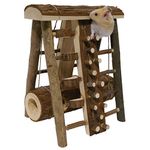 Rosewood Boredom Breaker Activity Assault Course, Small Animal Activity Toy