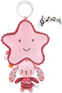 AURETERMYA Pull Down Musical Baby Toy for Stroller & Car Seat, Plush Sensory Hanging Toy with Bounce Back Action, Infant Travel Toy for Newborns
