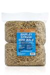 Swell Barley Straw Mini 2 pack. Barley Straw for Ponds to act as Pond Cleaner and Algae Treatment