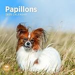 2025 Papillons Monthly Wall Calendar by Bright Day, 12 x 12 Inch Cute Dog Breed Gift