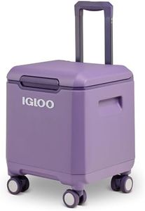 Igloo Tag
