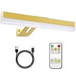 Meagoo Rechargeable Picture Light, Gold and 4000mAh Battery Powered Over Painting Lighting with Remote, 300 Lumen Bright Adjustable LED Art Light for Wall, Display, Dartboard, Portrait