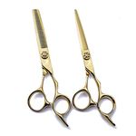 6.0" Professional Japan 440C Hair Cutting Shears - Salon Hair Blending/Thinning/Texturizing Scissor for Barber or Home Use