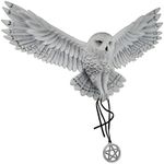 Anne Stokes Awaken Your Magic Snowy Owl with Pentagram Pendant Wall Sculpture