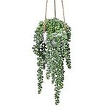 Briful 14" Hanging Artificial Plants Faux Succulent Plants Hanging Fake Plants in Pot, Artificial String of Pearls Plants Indoor for Home Kitchen Bedroom Wall Decoration