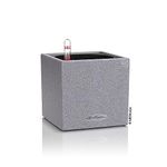 Lechuza Self Watering Plant Pot CANTO Stone 14 Garden Flower Indoor Outdoor Small Table Plastic Herb Planter without Drainage Hole H14 L14 W14 cm Stone Grey
