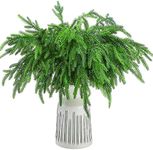 Jutom 12 Pcs Christmas Norfolk Pine Branches, Norfolk Pine Artificial Christmas Branches DIY Crafts Faux Christmas Norfolk Pine Branches for Xmas Indoor Outdoor Home Decor (18 Inches)