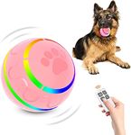 Remote Control Toy Dog