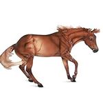 Breyer Horses Traditional Series | 
