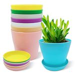 WAIZHIUA 8Pcs 14cm Plant Flower Pots Colorful Plastic Plant Pots Indoor Flower Pots Plant Container Planters with Trays for Office House Succulent Fruit Vegetable Seedlings Transplanting, 8 Colors