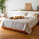 PAULATO BY GA.I.CO. Waterproof Blanket for Bed – King Absorbent Couch Cover for Intimacy – Machine Washable Stain-Resistant Pad for Large Sofa – Pets Cat & Dog Friendly Furniture Protector
