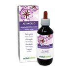 Astragalus (Astragalus membranaceus) Roots Alcohol-Free Mother Tincture Naturalma - Liquid in Drops 200 ml - Food Supplement - Vegan