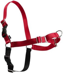 PetSafe Ea