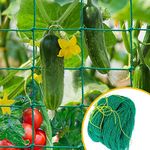 WNE Jaliwale Plant Climbing net & Creeper Net & Plant Trellis Net Plant Support Net Green Color for Agriculture and Gardening Net - 6Feet x 6Feet