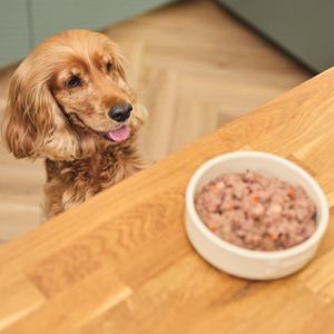 Lily's Kitchen Adult Dog Food Multipack – Assorted Wet Meals